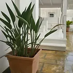 In Apartamento *